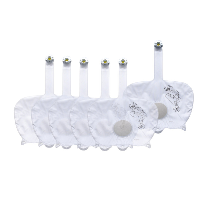 Lungen Little Anne 2023